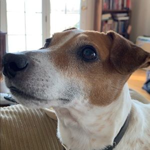 Meet your Posher, Kristi